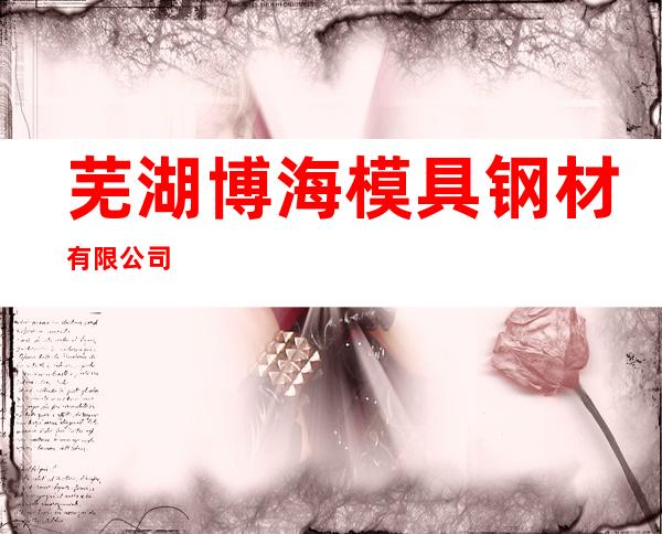 芜湖博海模具钢材有限公司